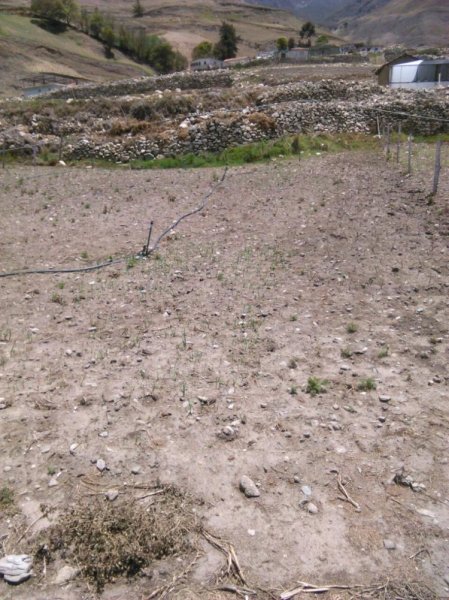 Foto Terreno en Venta en Mucuchies, Mucuchíes, Mérida - BsF 50.000.000 - TEV77024 - BienesOnLine