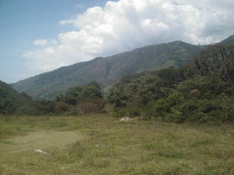 Foto Terreno en Venta en Tabay, Tabay, Mérida - BsF 160.000.000 - TEV77022 - BienesOnLine