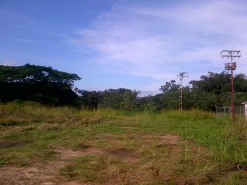 Terreno en Venta en  Bejuma, Carabobo