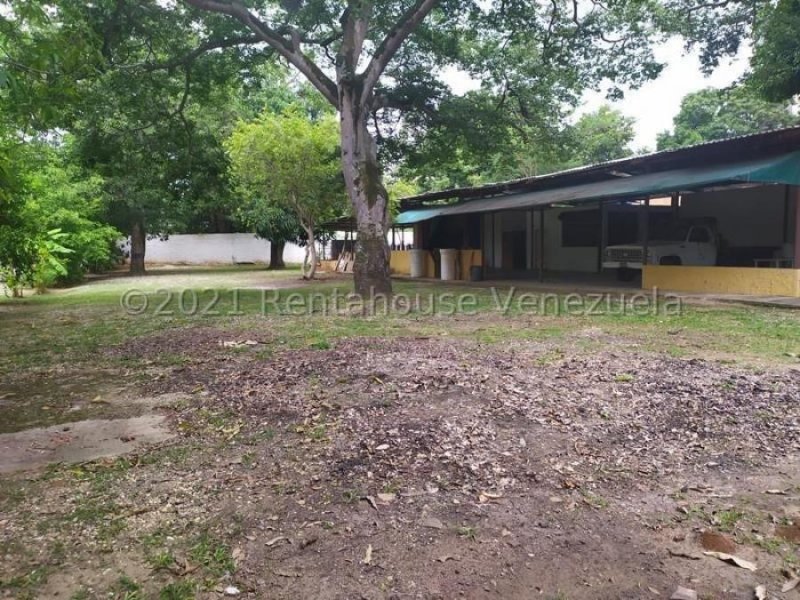 Foto Terreno en Venta en Agua Blanca, Valencia, Carabobo - U$D 1.974.800 - TEV162691 - BienesOnLine