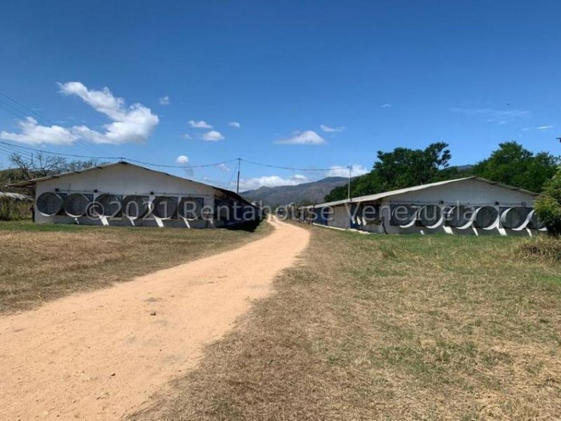 Foto Terreno en Venta en Aguirre, Valencia, Carabobo - U$D 750.000 - TEV162699 - BienesOnLine