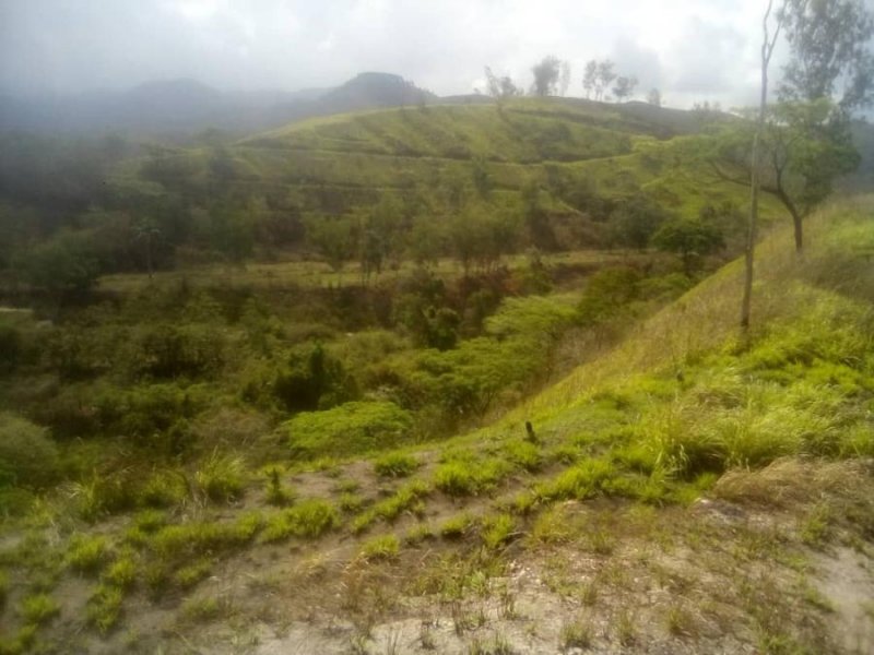 Foto Terreno en Venta en Valencia, Valencia, Carabobo - U$D 300.000 - TEV233422 - BienesOnLine