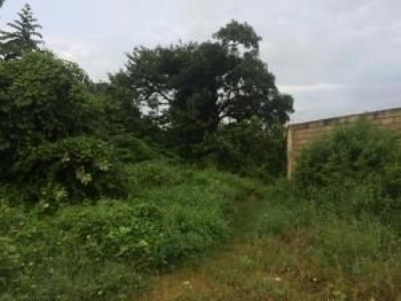 Foto Terreno en Venta en Bosqueserino, San Diego, Carabobo - U$D 600.000 - TEV141459 - BienesOnLine