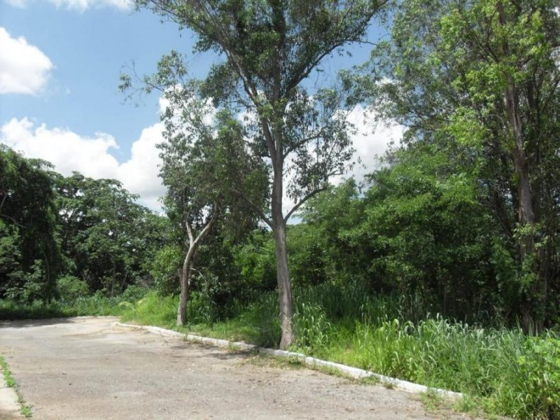 Foto Terreno en Venta en Carialinda, Naguanagua, Carabobo - U$D 5.500 - TEV158722 - BienesOnLine