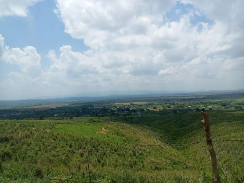 Terreno en Venta en  Barquisimeto, Lara