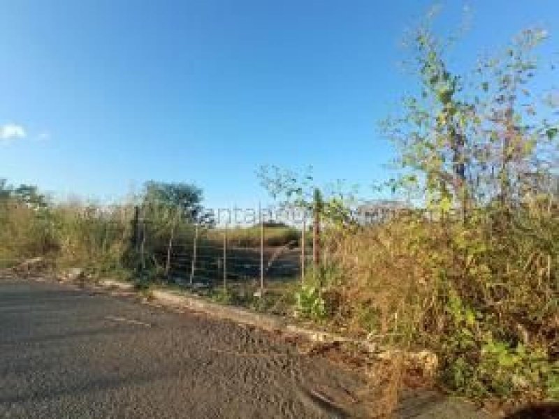 Foto Terreno en Venta en Castillito san diego carabobo, San Diego, Carabobo - U$D 900.000 - TEV153553 - BienesOnLine