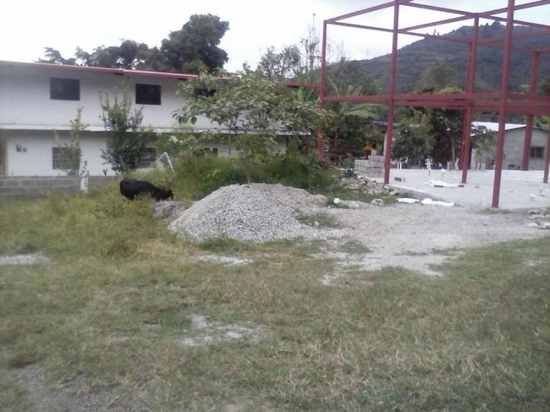 Foto Terreno en Venta en pedr, Mérida - BsF 10.000 - TEV118382 - BienesOnLine