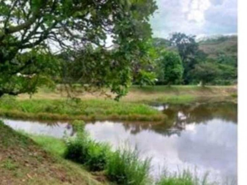 Terreno en Venta en Montalbán Montalbán, Carabobo