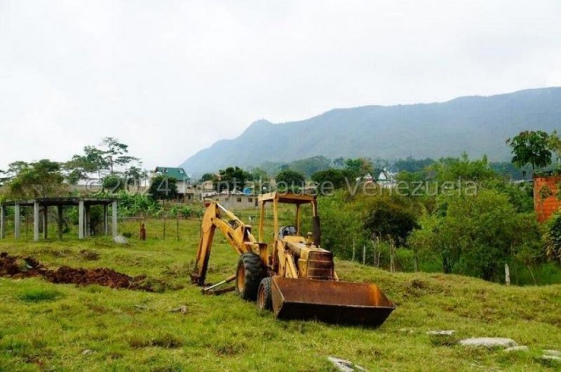 Terreno en Venta en  Escuque, Trujillo