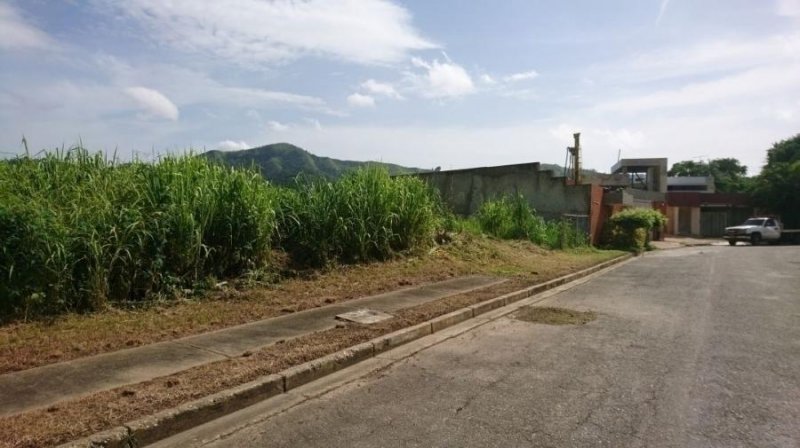 Foto Terreno en Venta en GUATAPARO, Valencia, Carabobo - U$D 700.000 - TEV149118 - BienesOnLine