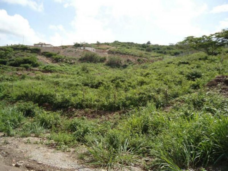 Foto Terreno en Venta en Barquisimeto, Lara - BsF 2.600.000 - TEV89731 - BienesOnLine