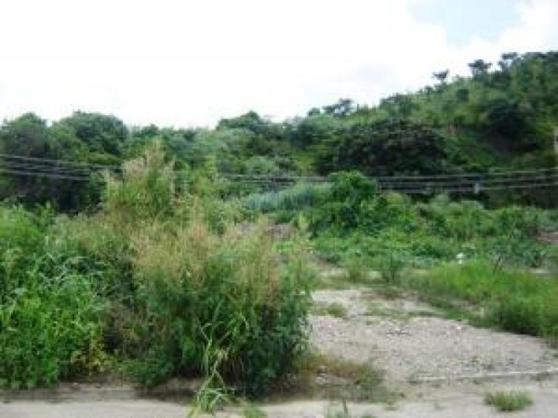 Foto Terreno en Venta en Cagua, Aragua - BsF 3.500.000 - TEV51595 - BienesOnLine