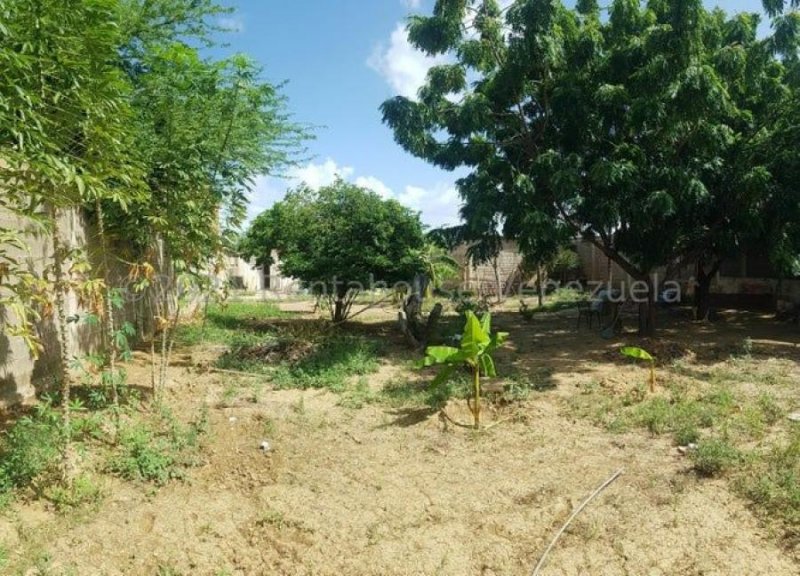 Terreno en Venta en  Coro, Falcón