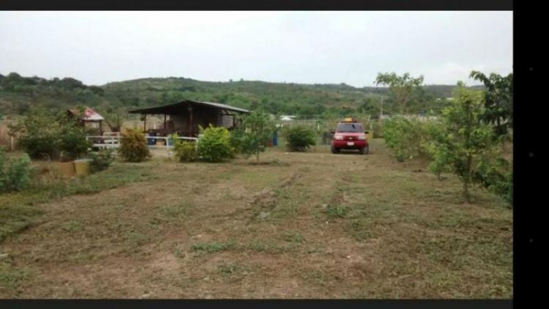 Foto Terreno en Venta en Yaritagua, Yaracuy - BsF 17.000.000 - TEV78304 - BienesOnLine