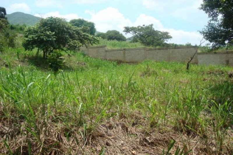 Foto Terreno en Venta en Naguanagua, Carabobo - BsF 420.000 - TEV44145 - BienesOnLine