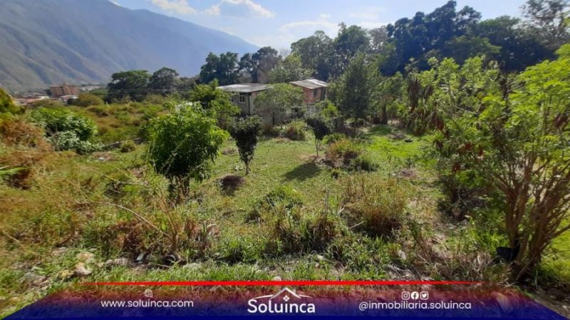 Foto Terreno en Venta en El salado, Mérida - U$D 7.000 - TEV221242 - BienesOnLine