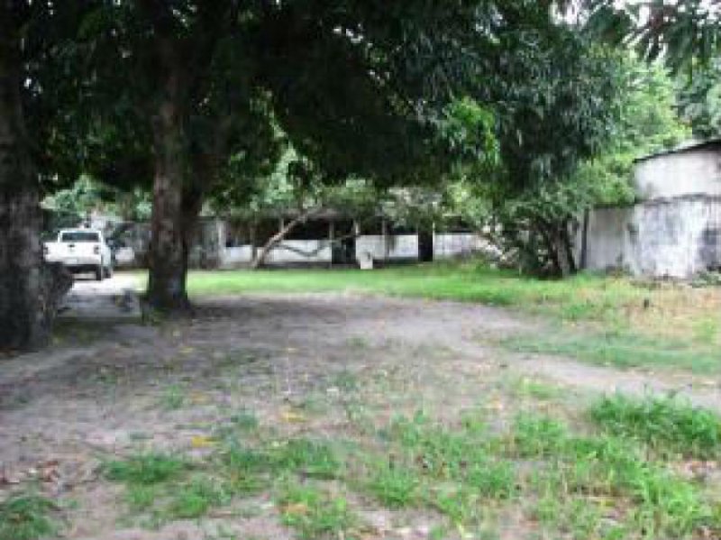 Foto Terreno en Venta en El Limón, Aragua - BsF 1.900.000 - TEV50548 - BienesOnLine