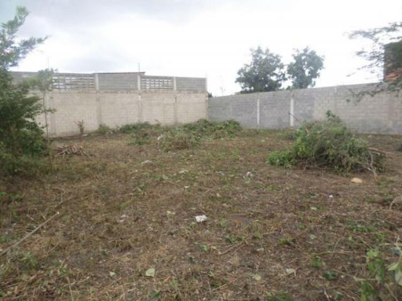 Foto Terreno en Venta en Cabudare, Lara - BsF 2.800.000 - TEV89428 - BienesOnLine