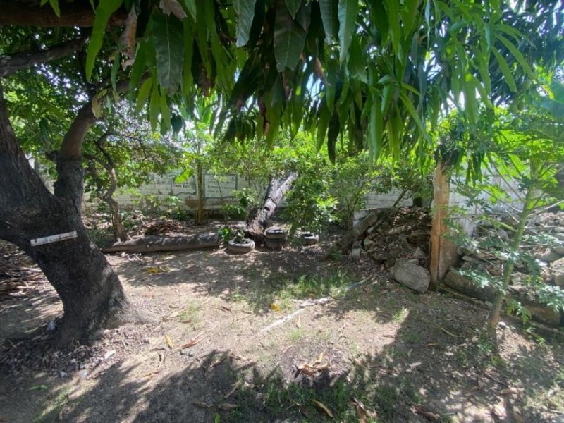 Terreno en Venta en Guacara Guacara, Carabobo