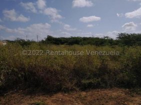Terreno en Venta en  Punto Fijo, Falcón