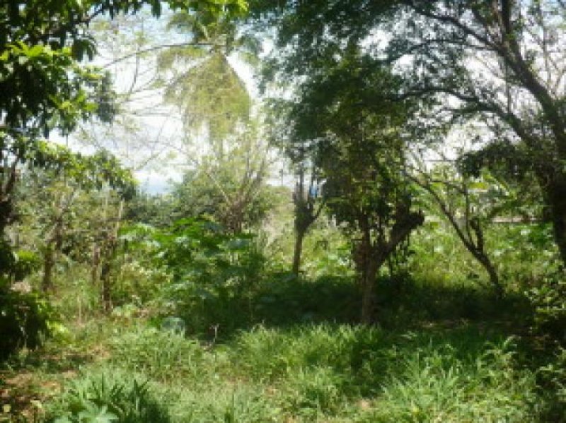 Foto Terreno en Venta en Turmero, Aragua - BsF 3.800.000 - TEV51718 - BienesOnLine