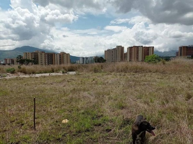 Foto Terreno en Venta en Naguanagua, Carabobo - U$D 17.500 - TEV150912 - BienesOnLine