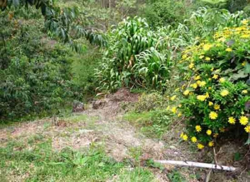 Foto Terreno en Venta en Colonia Tovar, Aragua - BsF 295.000 - TEV44253 - BienesOnLine