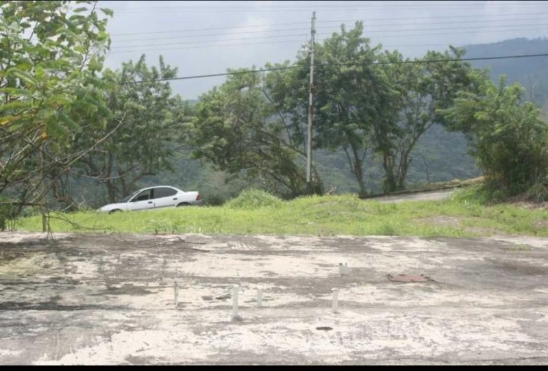 Foto Terreno en Venta en Valencia, Valencia, Carabobo - U$D 12.000 - TEV211057 - BienesOnLine