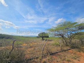 Terreno en Venta en  Coro, Falcón
