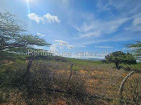 Terreno en venta en La Vela de Coro MLS #26-5536 OP