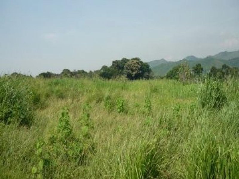 Foto Terreno en Venta en San Diego, Carabobo - U$D 3.000.000 - TEV122784 - BienesOnLine