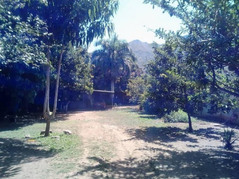 Foto Terreno en Venta en las morochas san diego, San Diego, Carabobo - U$D 26.500 - TEV145230 - BienesOnLine