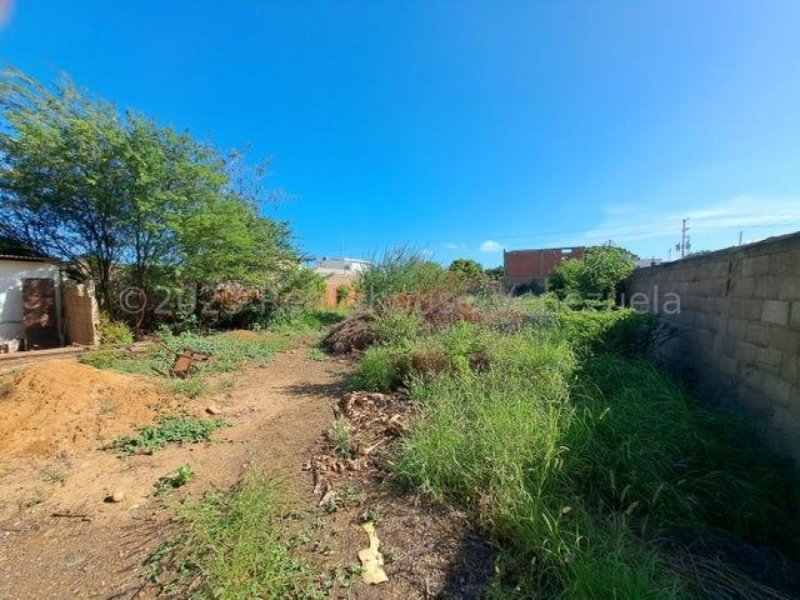 Terreno en Venta en  Coro, Falcón