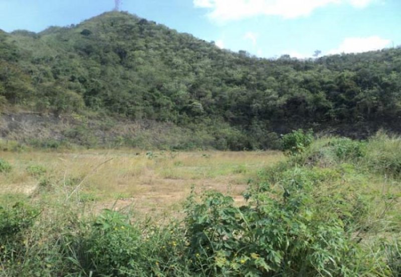 Foto Terreno en Venta en Naguanagua, Valencia, Carabobo - BsF 340.000 - TEV44133 - BienesOnLine