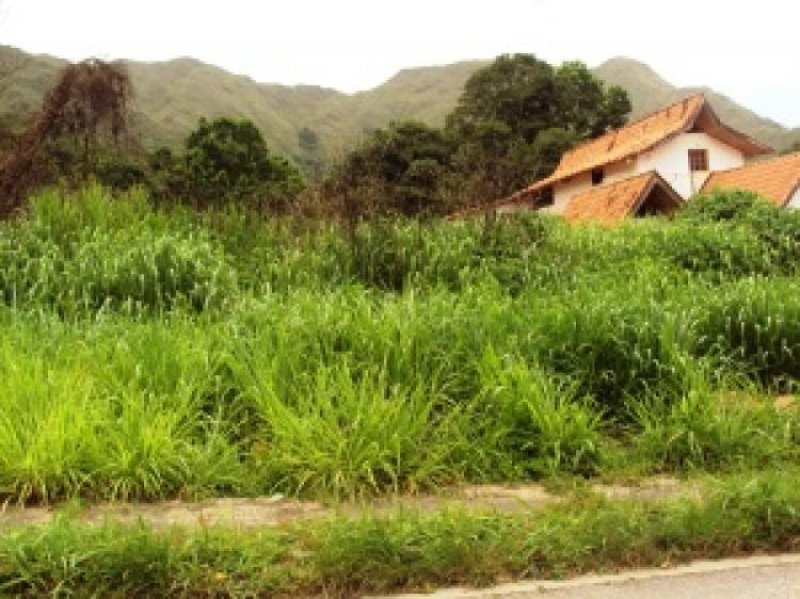 Foto Terreno en Venta en Girardot, Maracay, Aragua - BsF 2.300.000 - TEV51717 - BienesOnLine