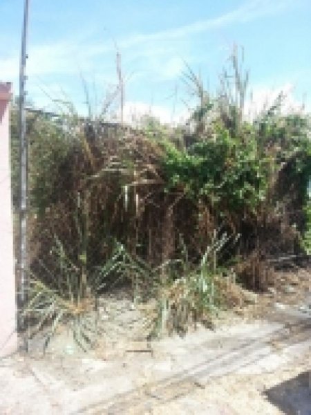 Foto Terreno en Venta en Maracay, Aragua - BsF 2.200.000 - TEV51728 - BienesOnLine