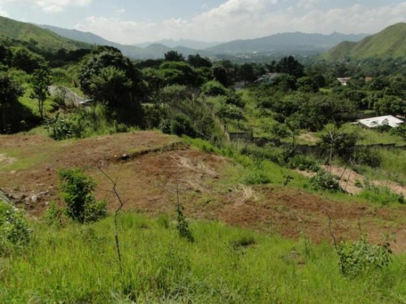 Foto Terreno en Venta en Carialinda, Naguanagua, Carabobo - BsF 1.050.000 - TEV49404 - BienesOnLine