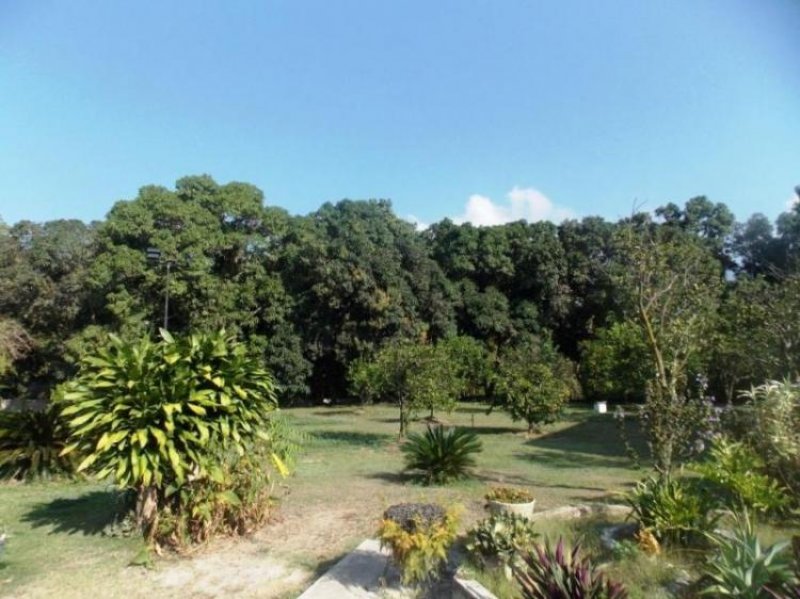 Foto Terreno en Venta en Naguanagua, Carabobo - BsF 35.000.000 - TEV57865 - BienesOnLine