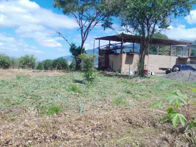 Terreno en Venta en Caracas Caracas, Distrito Federal