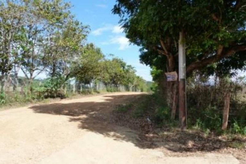 Foto Terreno en Venta en Valencia, Carabobo - BsF 2.690.000 - TEV52495 - BienesOnLine