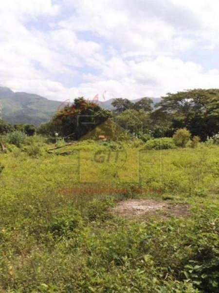 Foto Terreno en Venta en San Diego, San Diego, Carabobo - U$D 60.000 - TEV160550 - BienesOnLine