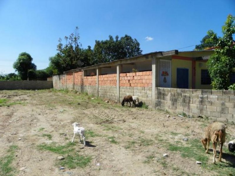 Foto Terreno en Venta en San Diego, Carabobo - BsF 1.500.000 - TEV52404 - BienesOnLine