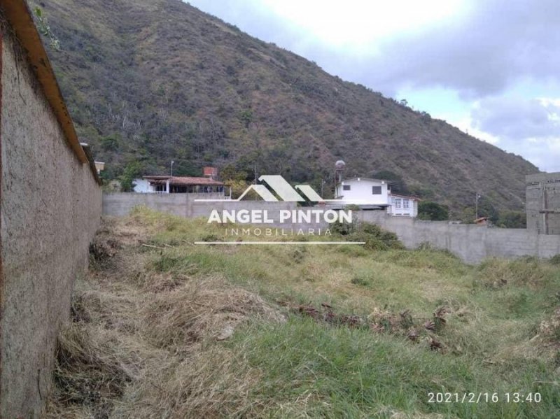 Terreno en Venta en  Valera, Trujillo