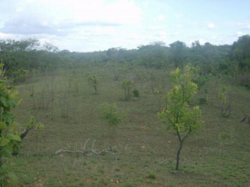 Foto Terreno en Venta en Sabana del Medio, Valencia, Carabobo - BsF 8.900.000 - TEV50655 - BienesOnLine