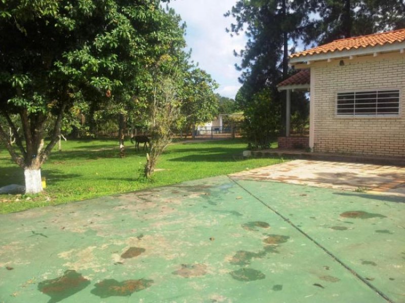 Foto Terreno en Venta en Sabana del Medio, Valencia, Carabobo - BsF 3.500.000 - TEV49944 - BienesOnLine