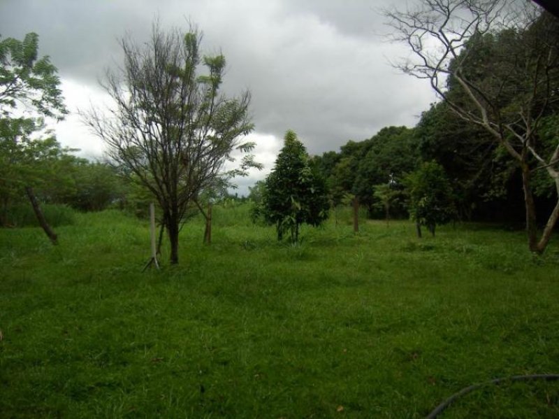 Foto Terreno en Venta en Tocuyito, Valencia, Carabobo - BsF 5.000.000 - TEV49516 - BienesOnLine