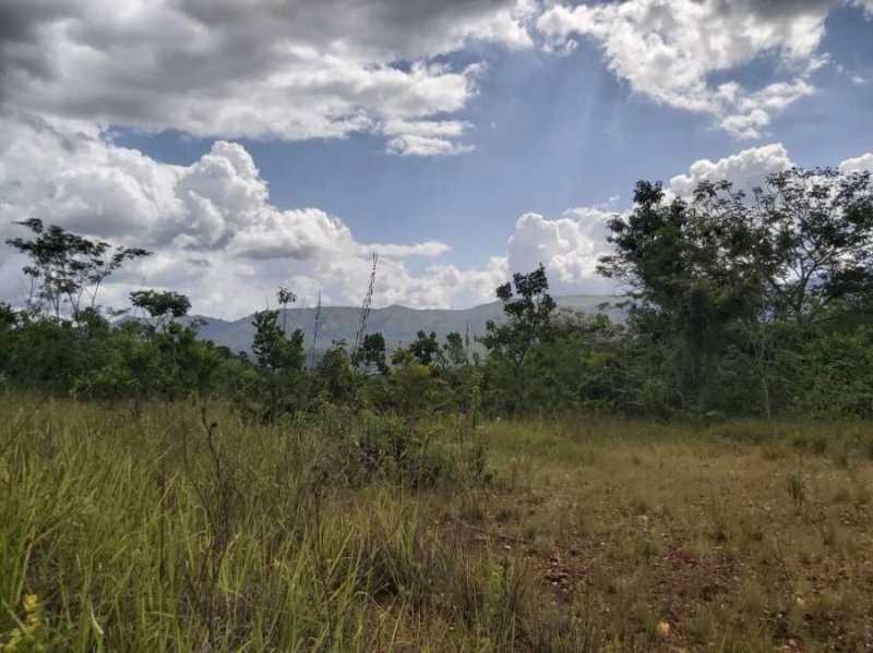 Foto Terreno en Venta en Guataparo, Valencia, Carabobo - U$D 70.000 - TEV143749 - BienesOnLine