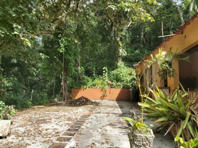 Foto Terreno en Venta en Guataparo, Valencia, Carabobo - U$D 1.150.000 - TEV152855 - BienesOnLine