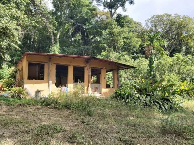 Foto Terreno en Venta en Guataparo, Valencia, Carabobo - U$D 70.000 - TEV156395 - BienesOnLine