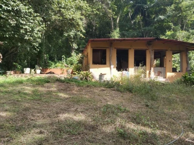 Foto Terreno en Venta en Guataparo, Valencia, Carabobo - U$D 1.150.000 - TEV161713 - BienesOnLine